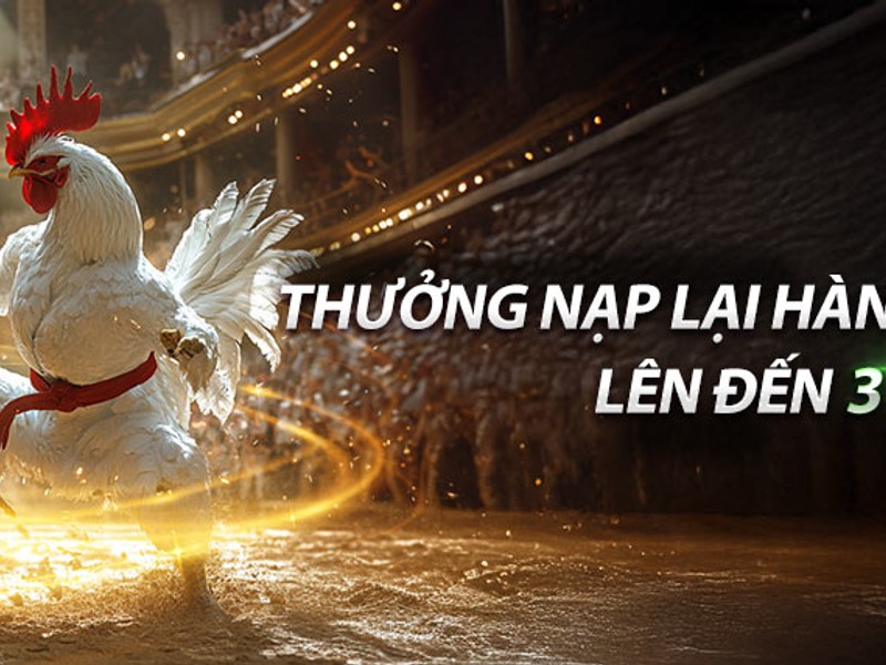 Quà tặng và ưu đãi bất ngờ