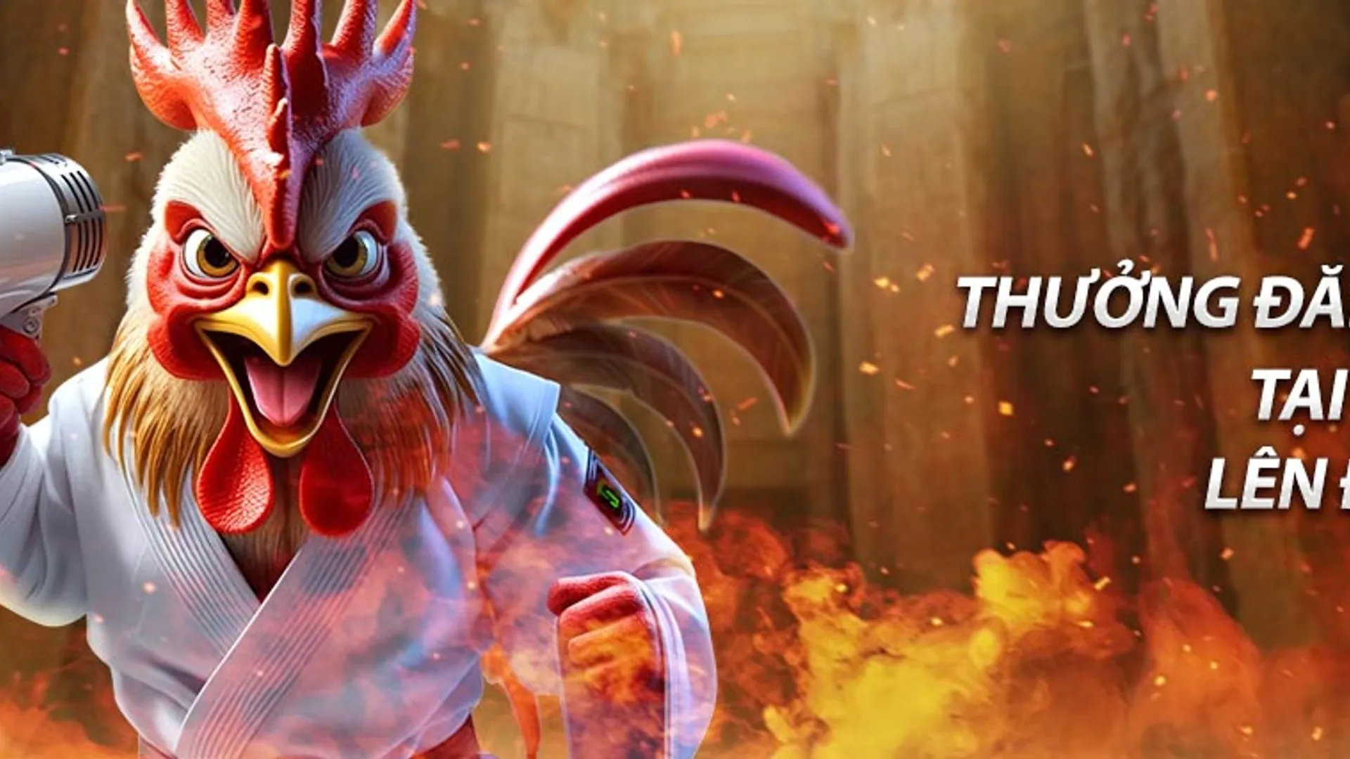 Hình ảnh tổng quan về các chương trình khuyến mãi tại 78win Okvip