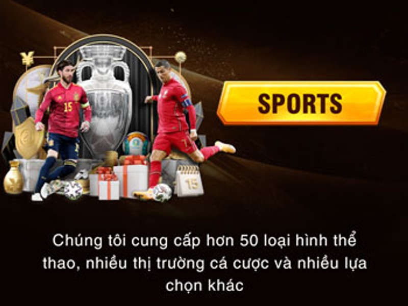 Cá Cược Thể Thao 78win OKVIP