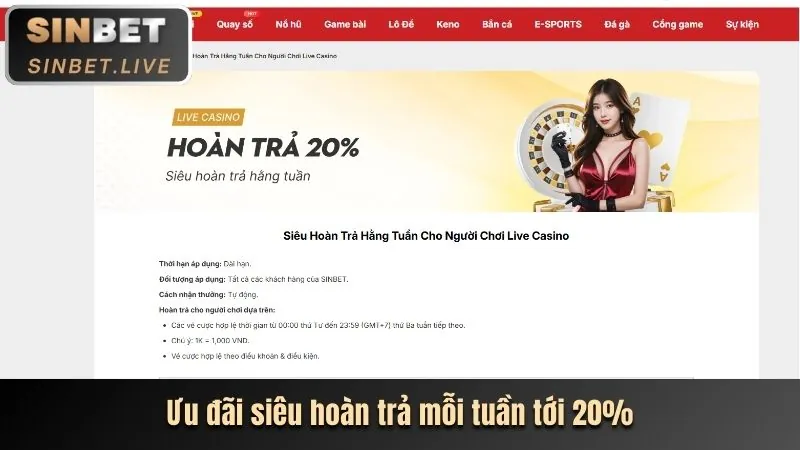 Giới thiệu các nền tảng cá cược mới